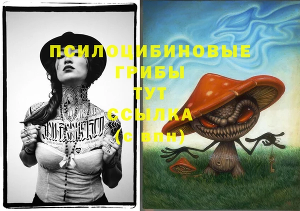 твердый Зеленодольск