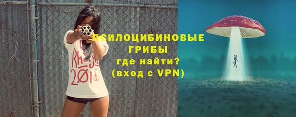 твердый Зеленодольск