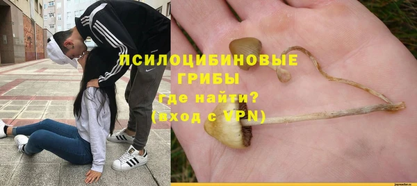 спиды Семёнов